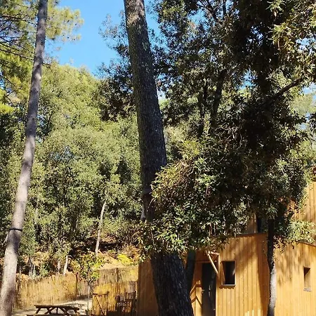 L'oree Sablee, D'hote Avec Jacuzzi En Foret Pres Des Plages *
